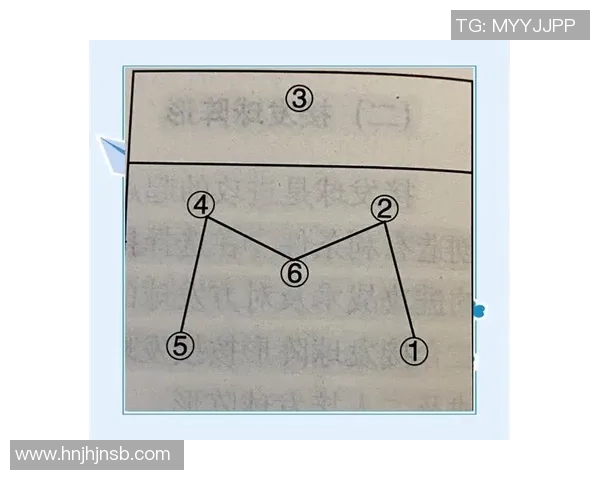 深入分析南京排球队的控制打法与战术特点解析